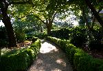 Garden Path